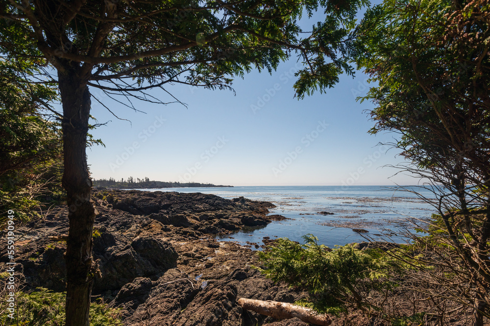 nature sceneries over the Pacific Ocean, along the Vancouver Island coastline, british columbia, Canada