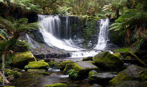 Waterfalls - Horseshoe Falls  Mount Field National Park Tasmania - Australia