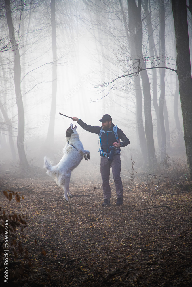 happy dog and owner in foggy forest happy dog and owner in foggy forest