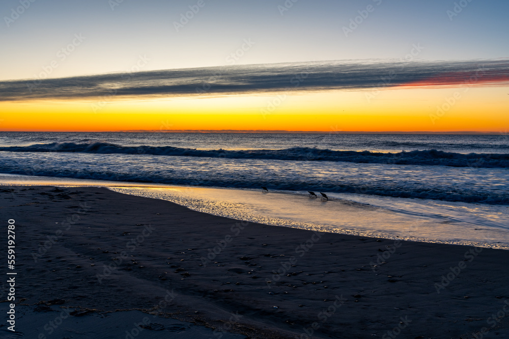 Obraz premium Beach Sunrise with Birds and Shelf Cloud