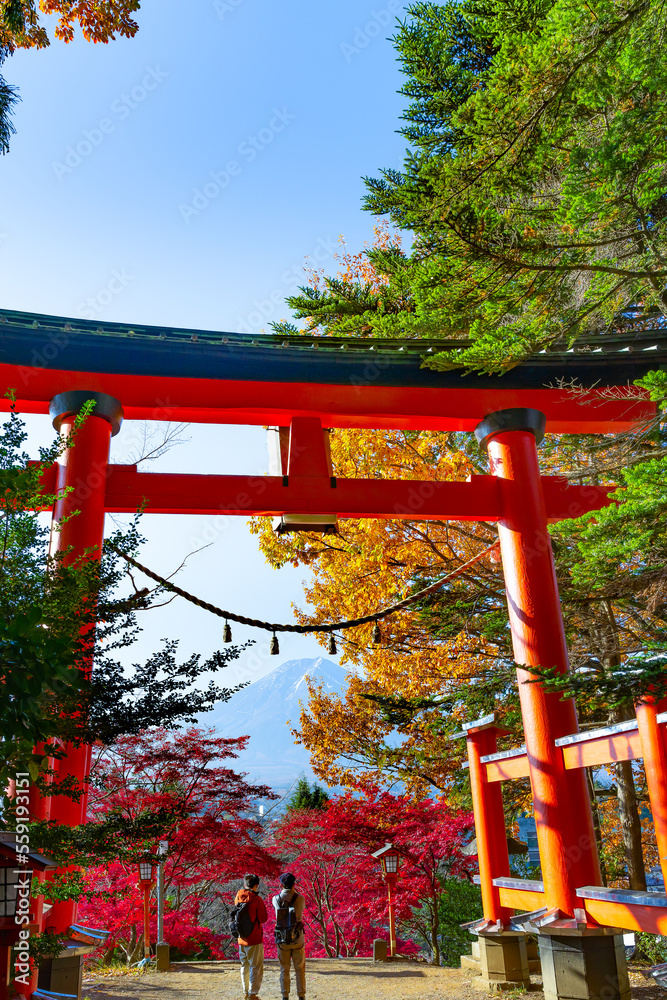 山梨県富士吉田市　新倉山浅間公園の紅葉