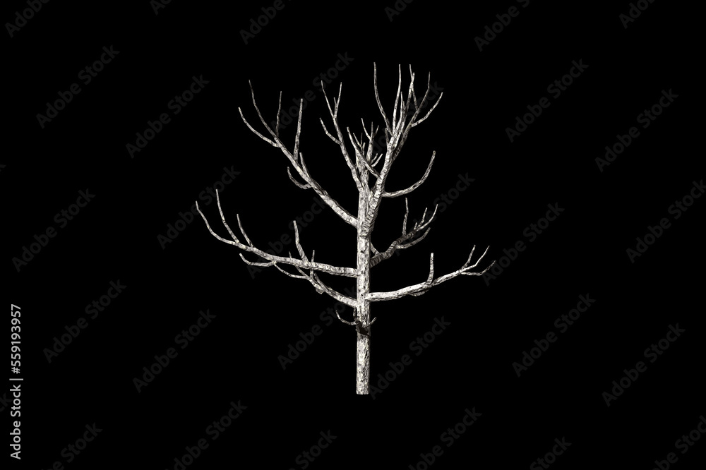 Obraz premium shape Dead Tree black background 3d rendering