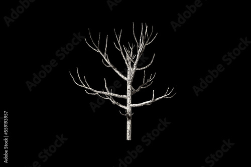shape Dead Tree black background 3d rendering