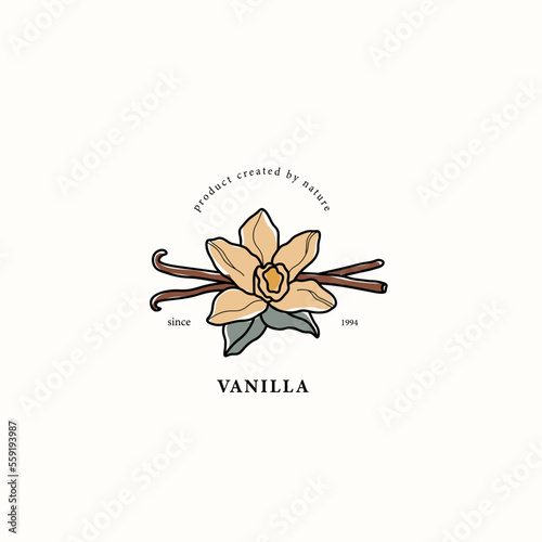 Line art vanilla flower drawing