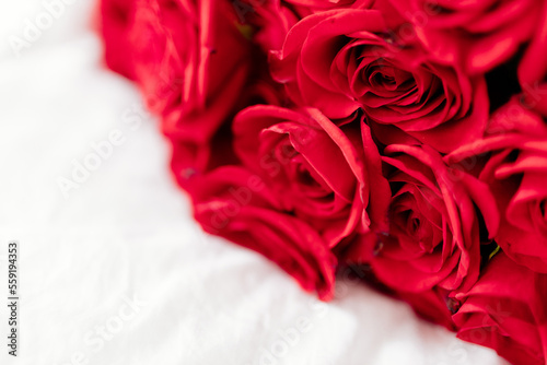 Background with roses for Valentine s Day. Valentine s Day. Red roses close up