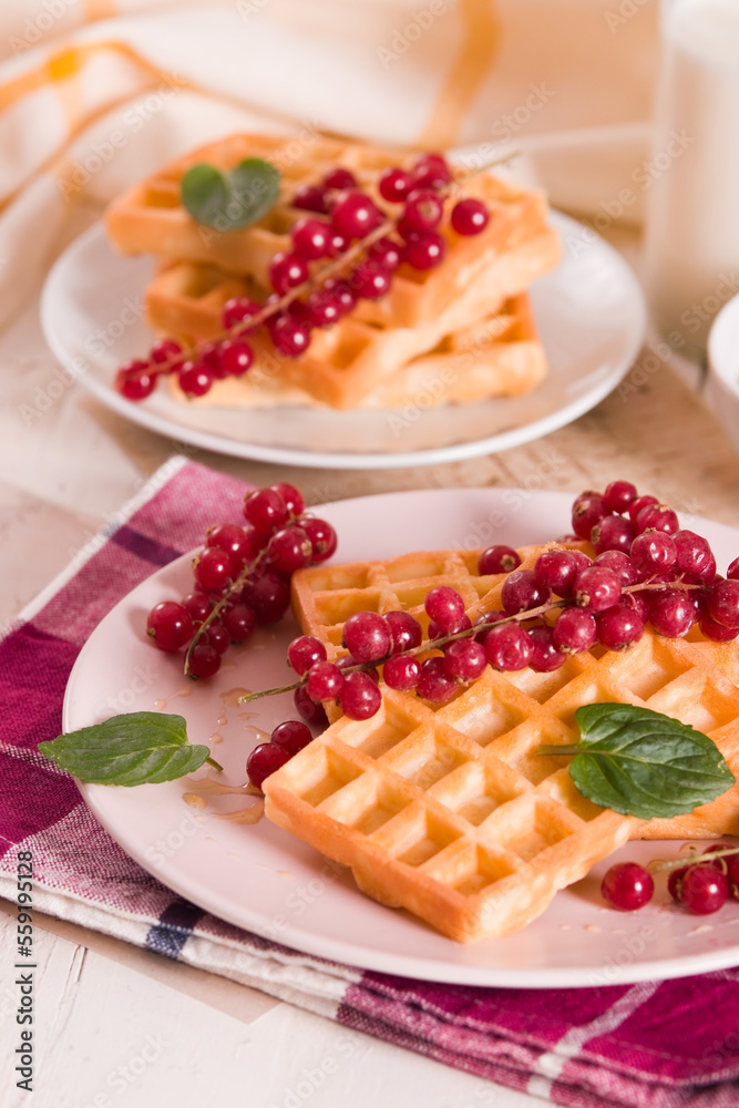 Waffle with red currant and honey on white dish. Waffle with red currant and honey on white dish.