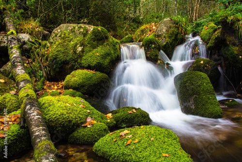 Waterfall between moss-covered stones in the integral natural reserve of Muniellos, Asturias