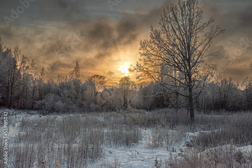 Wallpaper Mural Colorfull Sunset at frosty winter forest Torontodigital.ca