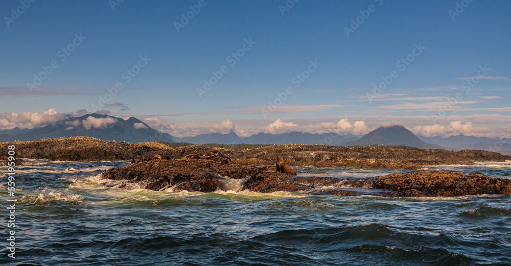 pacific ocean seascape in front of Tofino, Vancouver Island, Canada