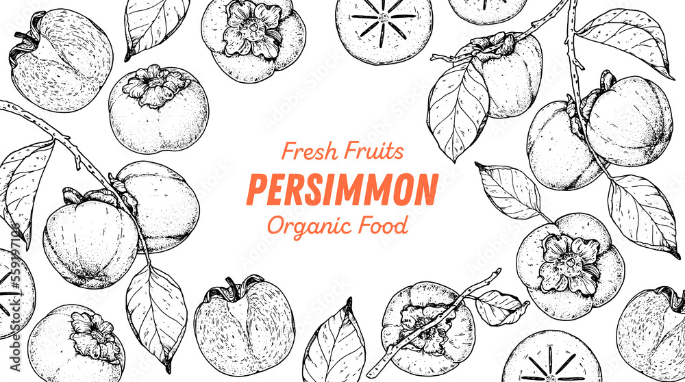 Persimmon fruit hand drawn design. Vector illustration. Design, package, brochure illustration. Persimmon fruit frame illustration. Design elements for packaging design and other.