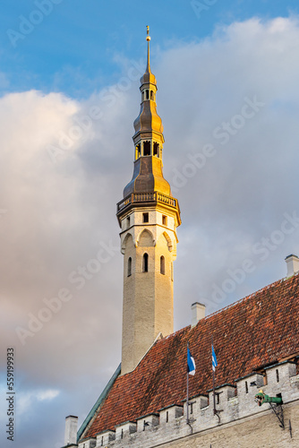 Quadro su tela Tallinn, Estonia - October 19, 2022: Cityscape with town hall and market square