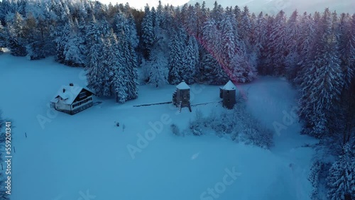 Remains of medieval hunting lodge at Mašun (Masun) in the middle of forest, Snežnik (Sneznik), Slovenia