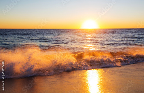 Wave