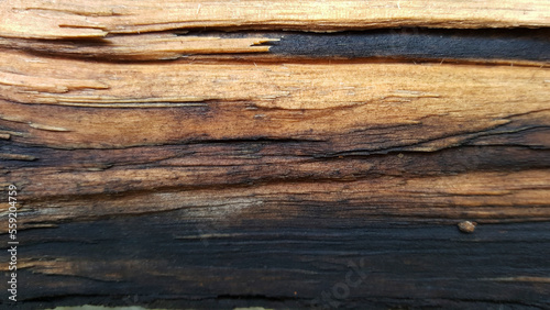 Background formed with old wooden surface brown texture.