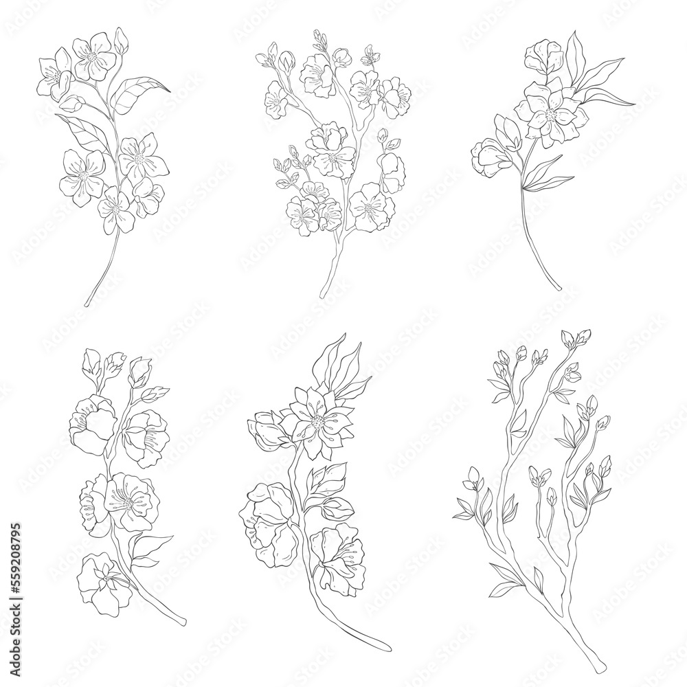 custom made wallpaper toronto digitalHand drawn Cherry Branches. Sakura Blossom Elements. Vector.