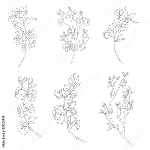 Wallpaper Mural Hand drawn Cherry Branches. Sakura Blossom Elements. Vector. Torontodigital.ca