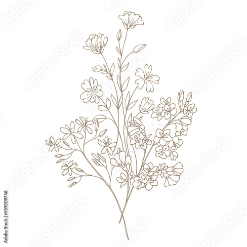 Hand Drawn Wildflower Bouquet. Line art Vector Illustration.
