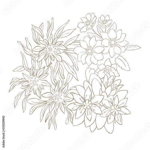 Hand Drawn Wildflower Bouquet. Line art Vector Illustration.