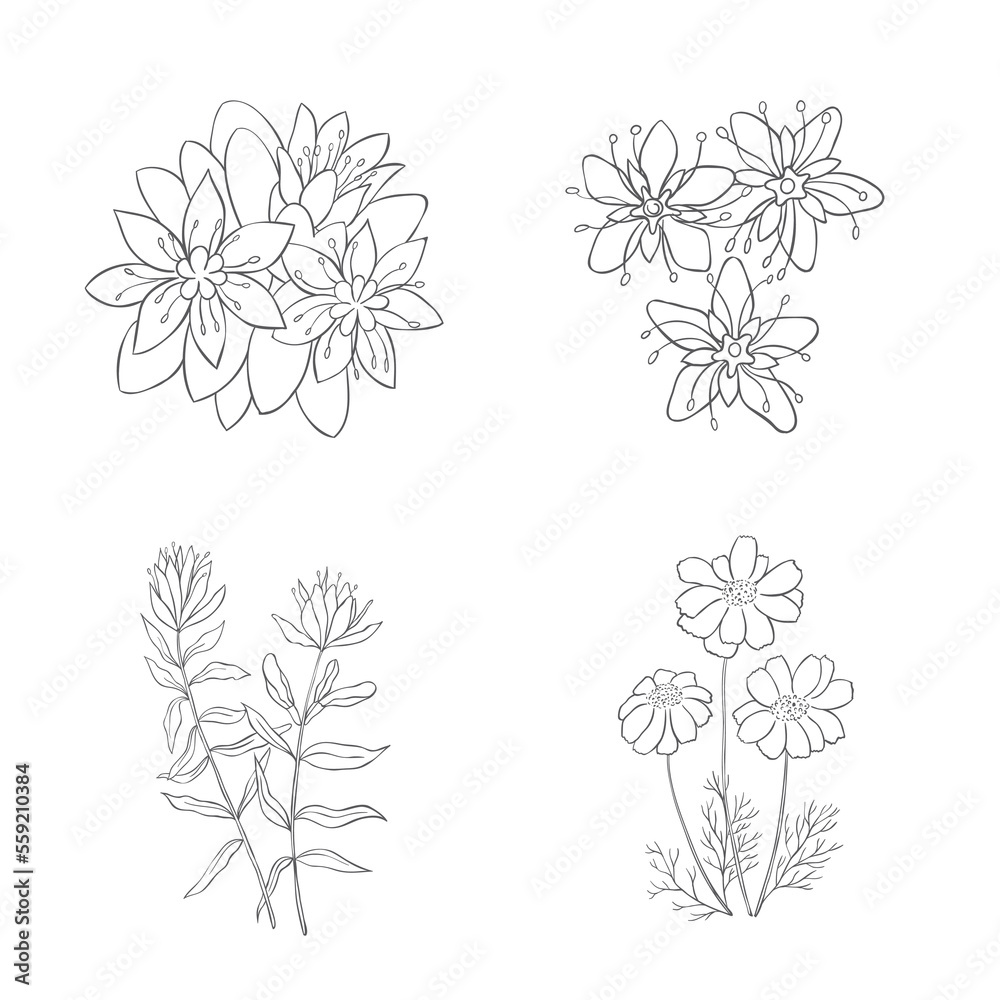 Hand Drawn Wildflowers Set. Line art Vector Illustration. Hand Drawn Wildflowers Set. Line art Vector Illustration.