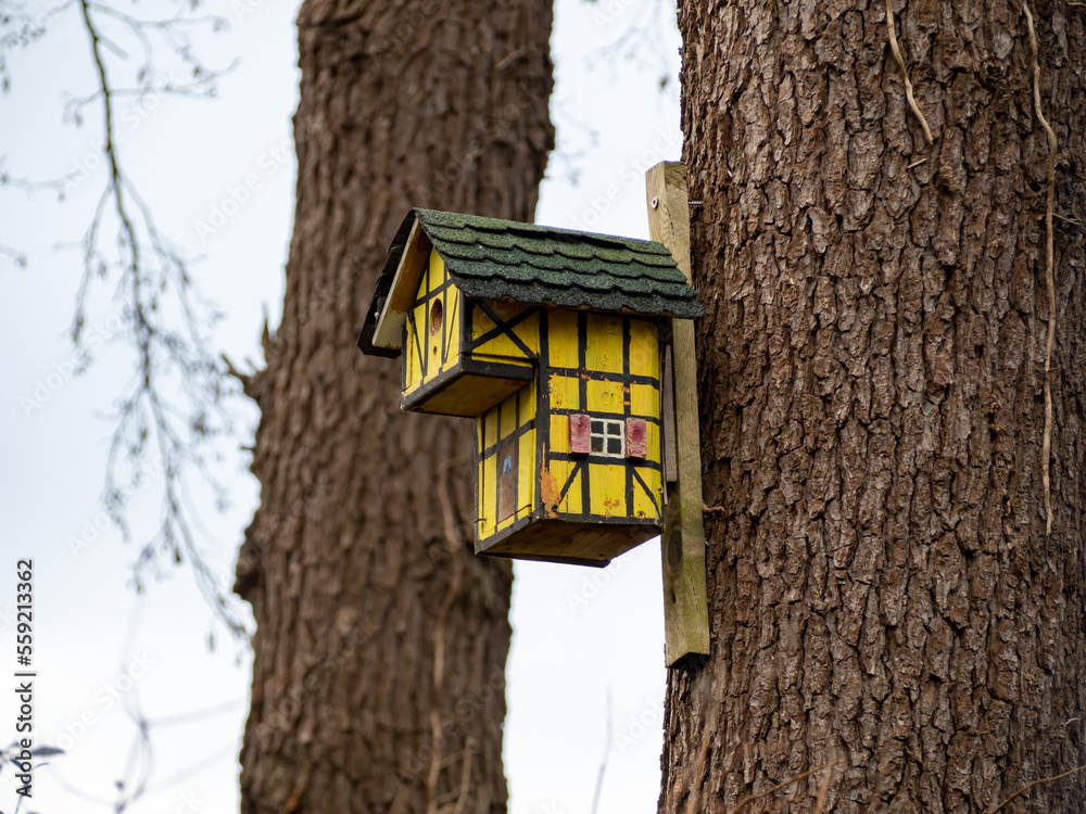 Birdhouse on a tree. Beautiful birdhouse in the forest. Birdhouse on a tree. Beautiful birdhouse in the forest.
