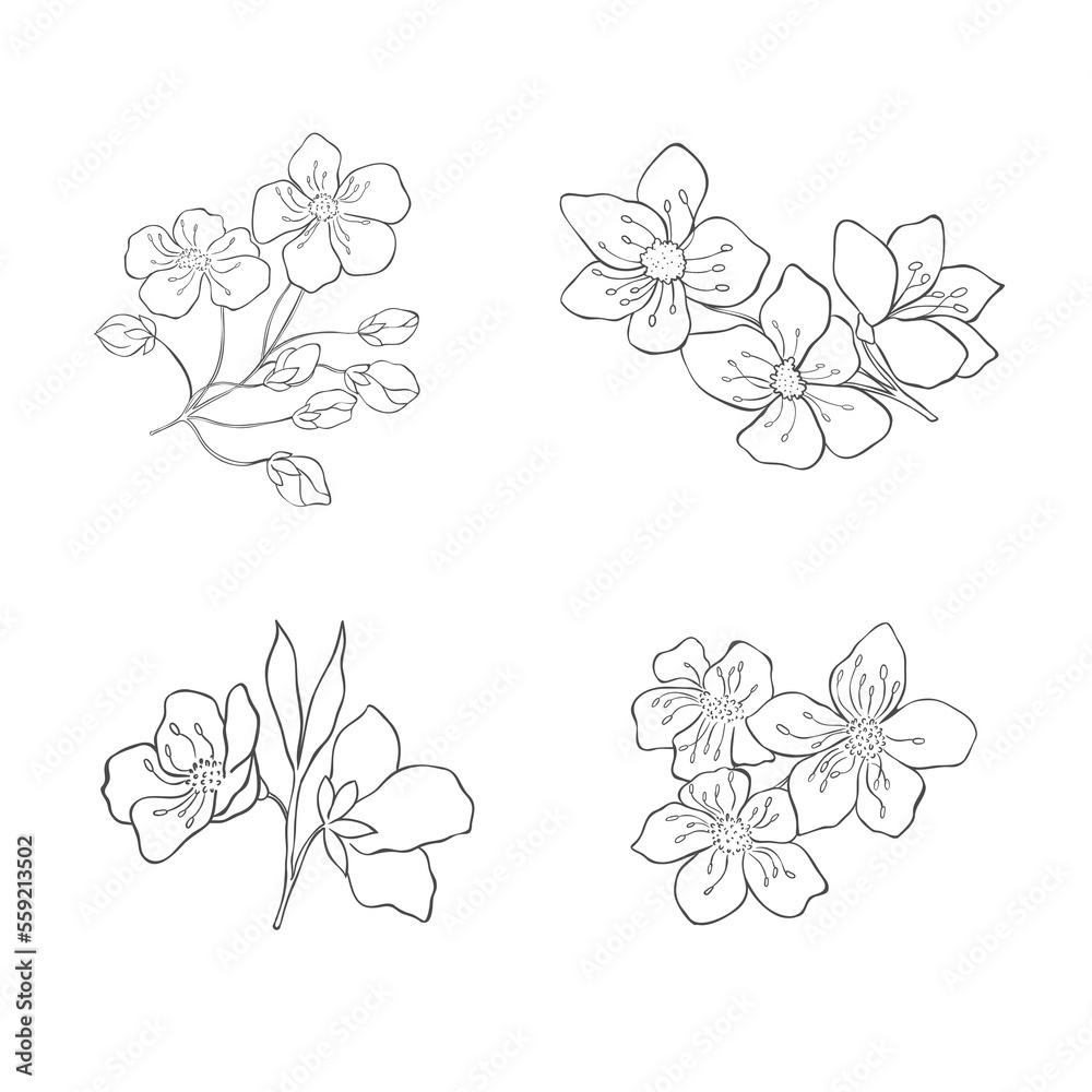 Hand drawn Cherry Branches. Sakura Blossom Elements. Vector.