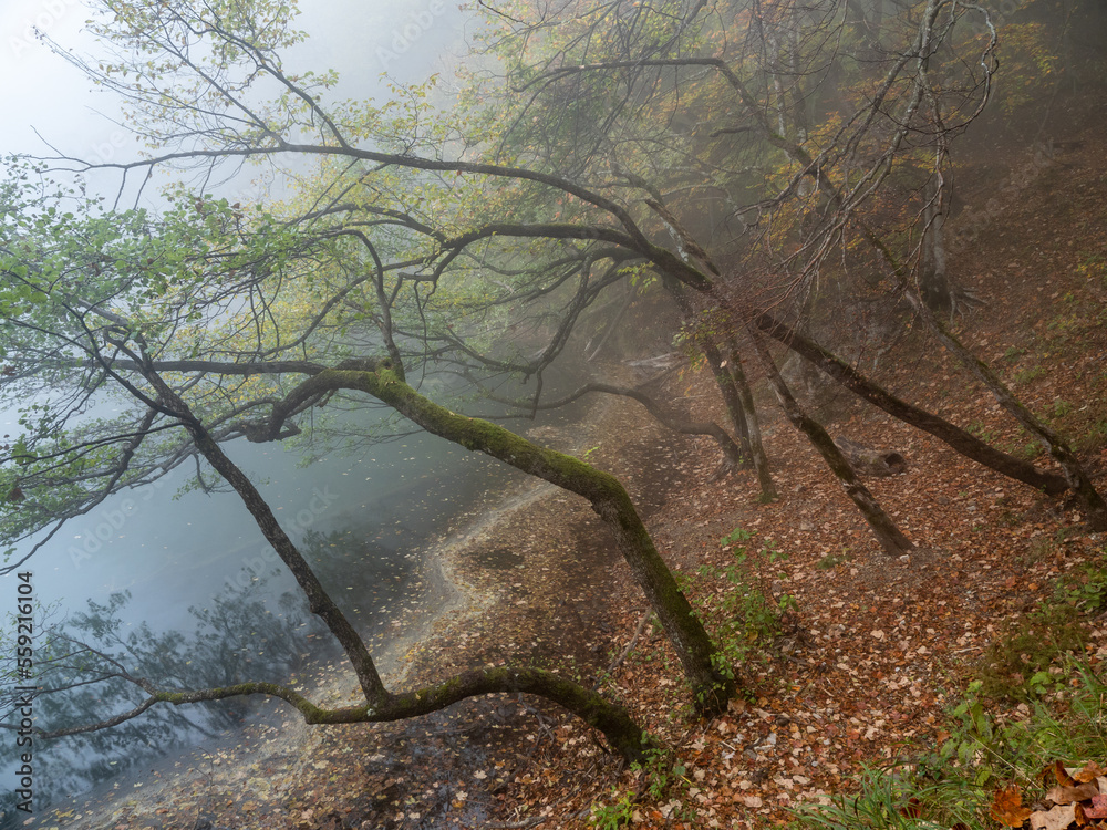 Lakes and waterfalls of Plitvice Lakes National Park Lakes and waterfalls of Plitvice Lakes National Park