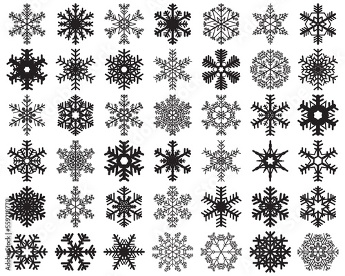 Set of different black snowflakes on a white background