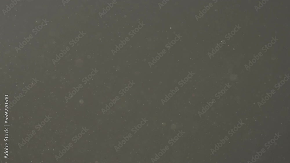 Slow motion real dust particles floating in the air with natural sunlight over black background Slow motion real dust particles floating in the air with natural sunlight over black background