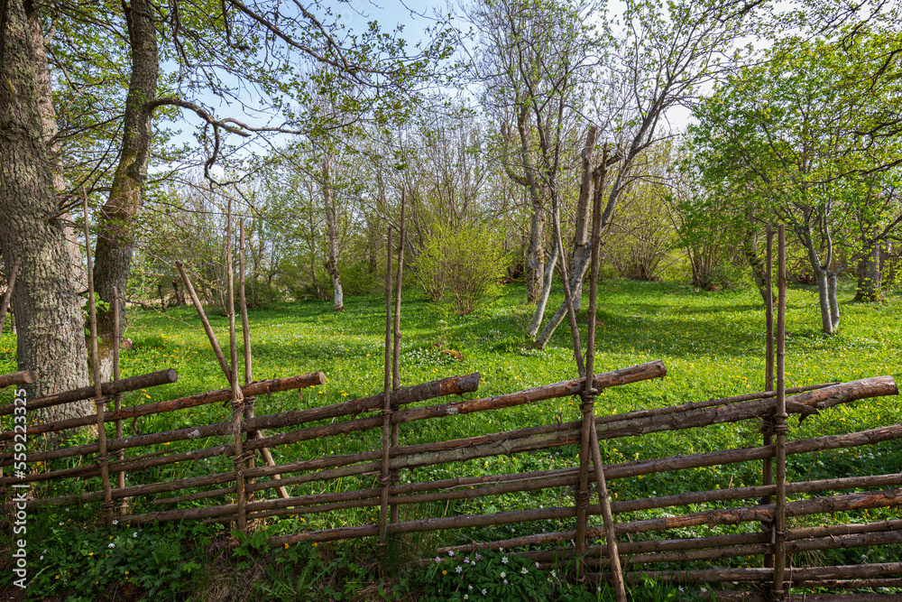 Old and wooden traditional fence and lush meadow at the Ramsholmen nature reserve in Åland Islands, Finland, on a sunny day in spring.