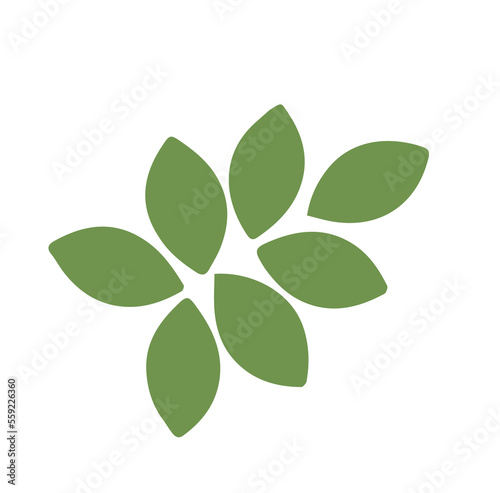 Green leaves on white background