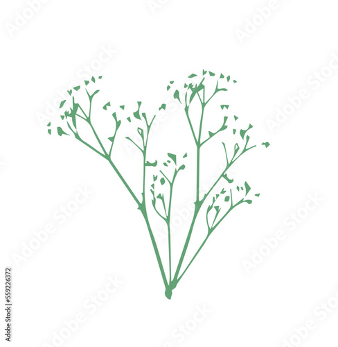 Green branches on white background