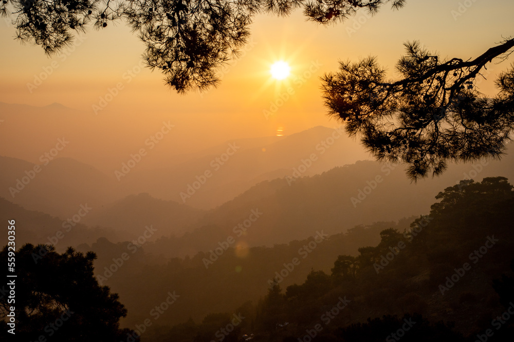 Naklejka premium Sunset in the mountains pines in the front of