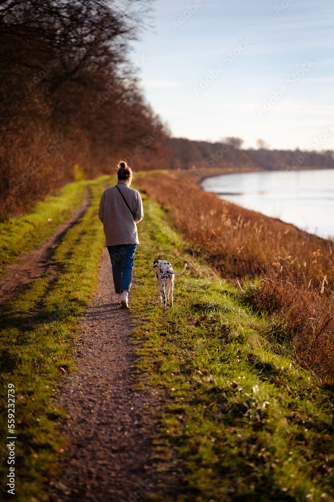 junge Frau geht mit Dalmatiner (Hund) an Fluss (Rhein) spazieren junge Frau geht mit Dalmatiner (Hund) an Fluss (Rhein) spazieren