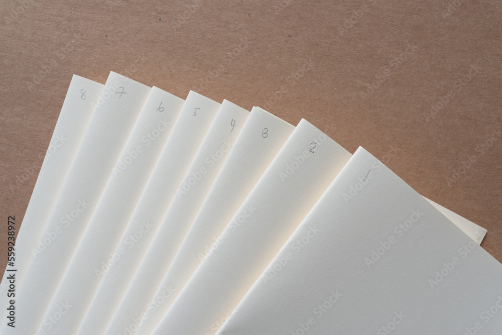 folded paper into what are known as "signatures" in bookbinding with