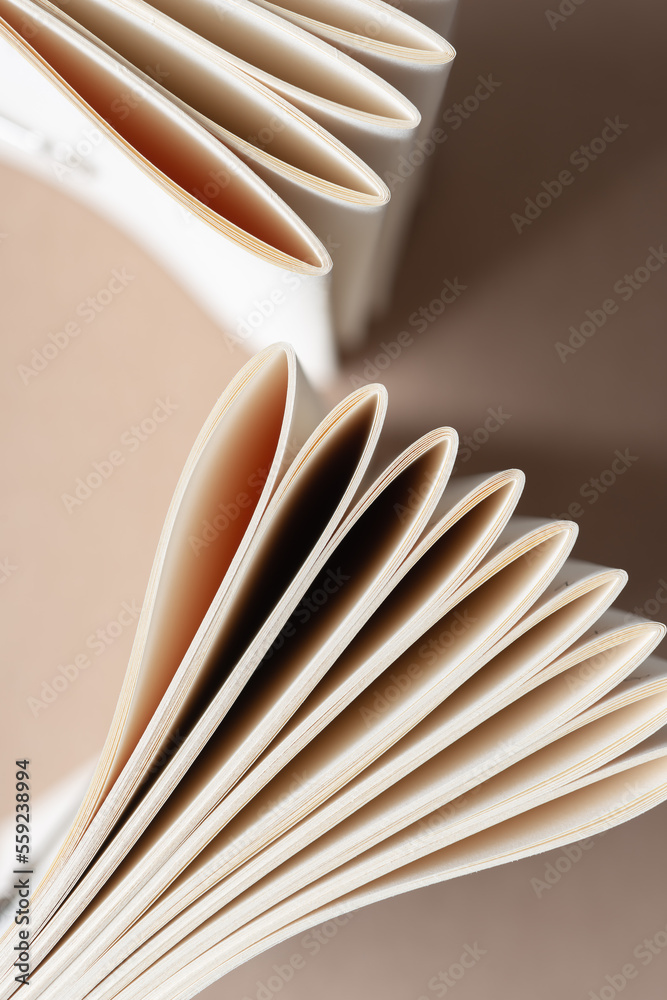 folded paper into what are known as "signatures" in bookbinding