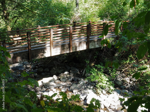 Foot bridge through the forest