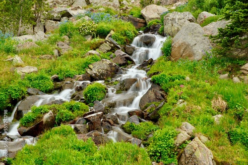 Mountain stream © Tyler