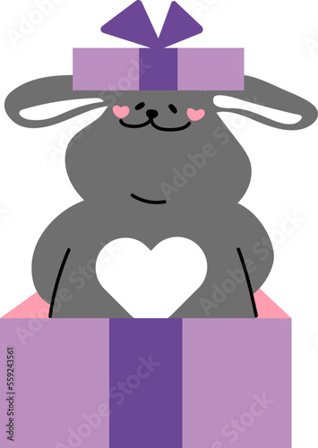 rabbit bunny easter 부활절 토끼
