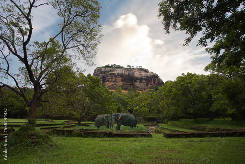 View to Sigiriya Sri Lanka. Path for tourists to climb the Lion Rock. Garden with trees around the sight seeing. Sky with clouds. Elephant. photo