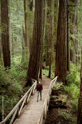 Woman walking along footbridge in redwood forest, Redwoods, California, USA