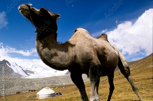 Mongolia Altai Mountains, Tavanbogd National Park photo