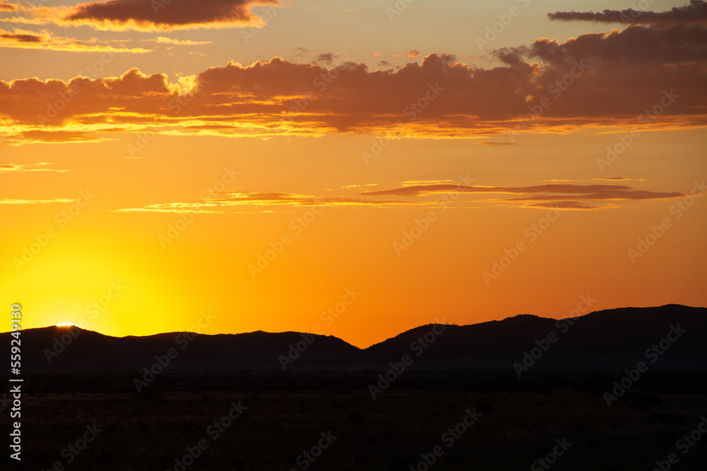 Orange sunset silhouette