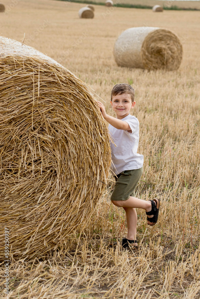 A cute little boy in a white t-shirt and khaki shorts is standing near round bales of hay. Photo session in the field A cute little boy in a white t-shirt and khaki shorts is standing near round bales of hay. Photo session in the field