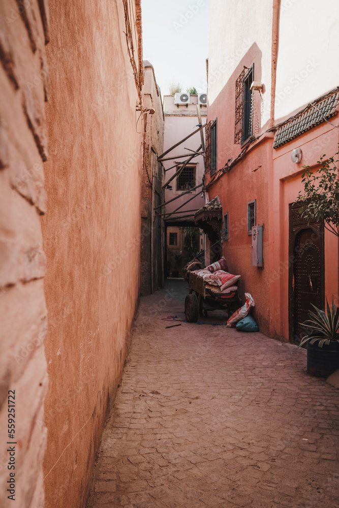 Obraz premium Narrow back streets of Marraekch in Morocco