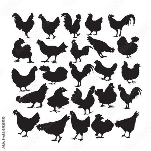 set of chicken silhouette