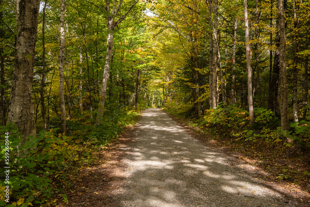 View of a hiking trail of the regional park of the Massif-du-Sud (Saint-Philemon, Chaudiere-Appalaches Quebec, Canada) View of a hiking trail of the regional park of the Massif-du-Sud (Saint-Philemon, Chaudiere-Appalaches Quebec, Canada)