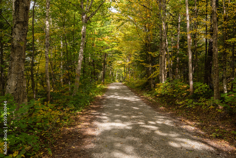 View of a hiking trail of the regional park of the Massif-du-Sud (Saint-Philemon, Chaudiere-Appalaches Quebec, Canada) 