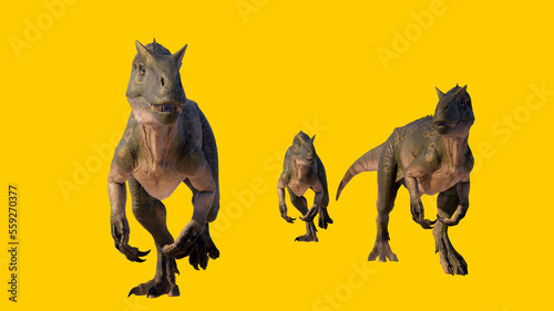 allosaurus isolated on yellow blank background © akiratrang