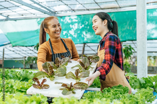 Portrait of Happy Young Asian girls farmer checking fresh green oak lettuce salad, organic hydroponic vegetable in nursery farm. Business and organic hydroponic vegetable concept.