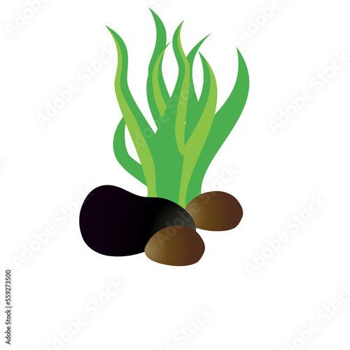 Cute cartoon aquarium plants